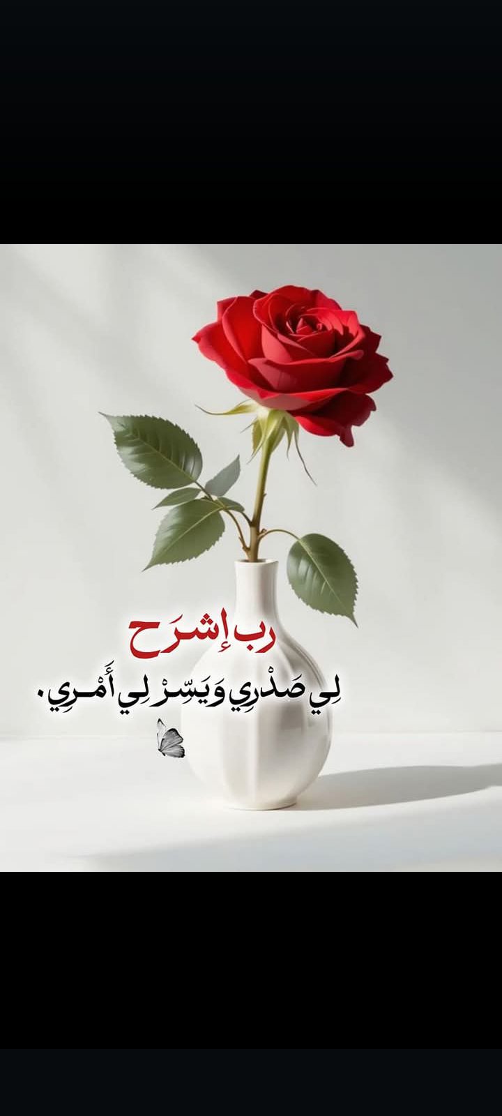 ابو عمّار ياسين 